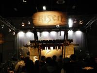 Постер на тему RISEN