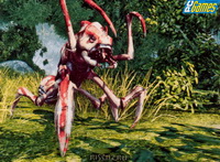 Первые подробности Risen 2 от PCGames Первые подробности Risen 2 от PCGames